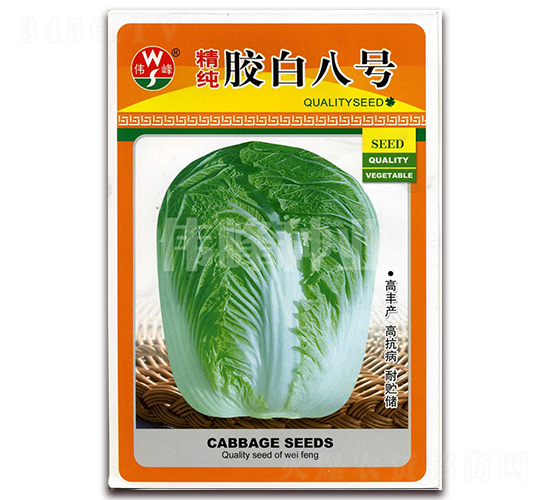 精純膠白八號-白菜種子-偉峰種業(yè)