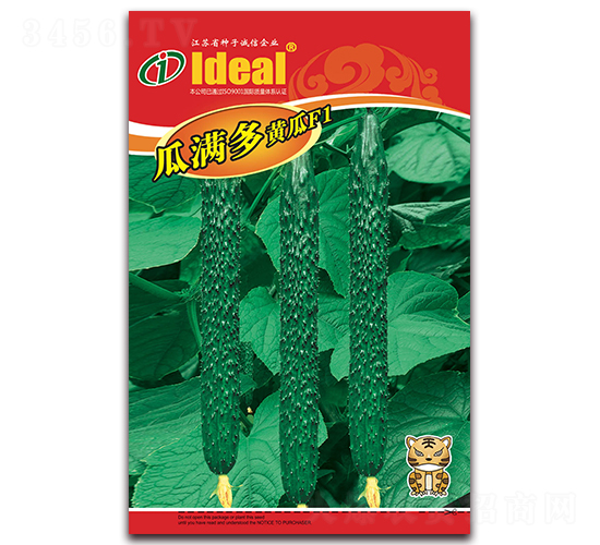 瓜滿多-黃瓜種子-理想農業(yè)