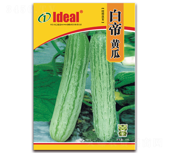 白帝黃瓜-黃瓜種子-理想農(nóng)業(yè)