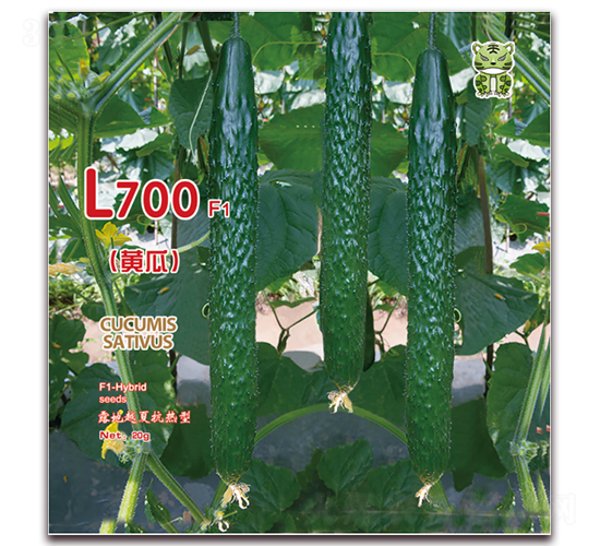 L700-黃瓜種子-理想農(nóng)業(yè)