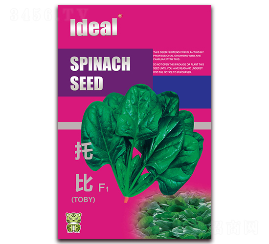 �б�-���˷N��-�����r(n��ng)�I(y��)