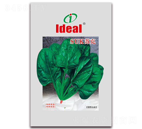蘇克-菠菜種子-理想農(nóng)業(yè)