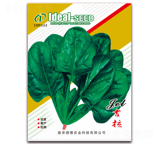 吉拉-菠菜種子-理想農(nóng)業(yè)