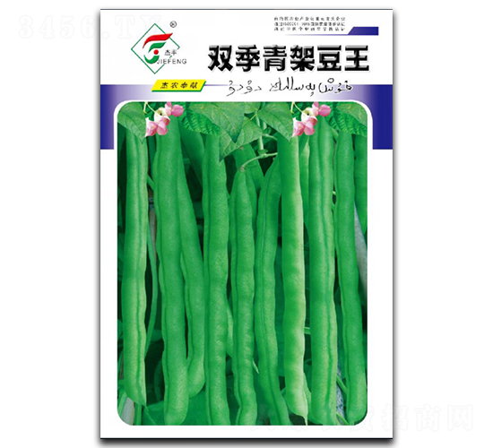 雙季青架豆王-架豆種子-杰農(nóng)