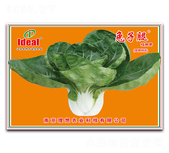 �����Ȱ��_�S-С�ײ˷N��-�����r(n��ng)�I(y��)