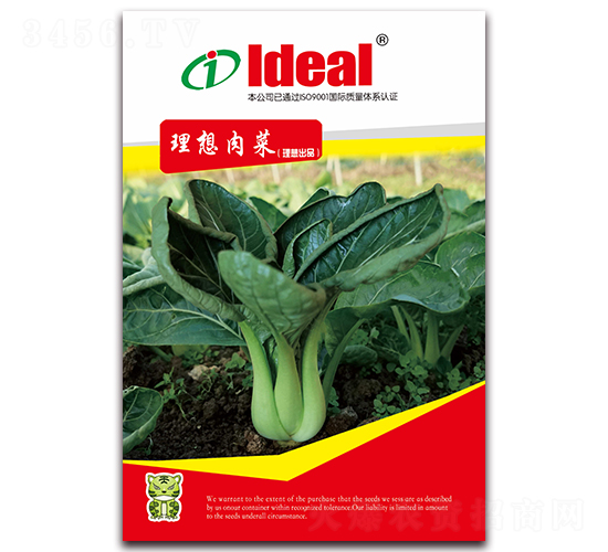 �������-С�ײ˷N��-�����r(n��ng)�I(y��)