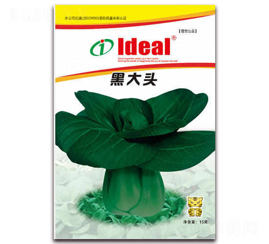 �ڴ��^-С�ײ˷N��-�����r(n��ng)�I(y��)