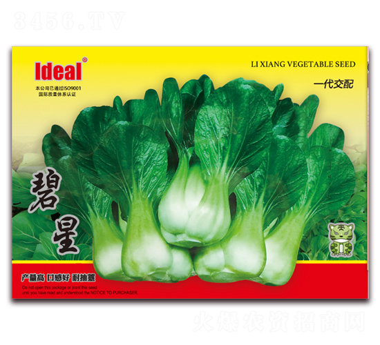 ����-С�ײ˷N��-�����r(n��ng)�I(y��)