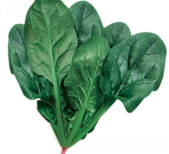 �־G��099-���˷N��-���߷N��