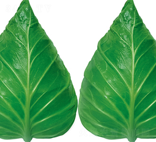 �K��55-���{(l��n)�N��-���߷N��