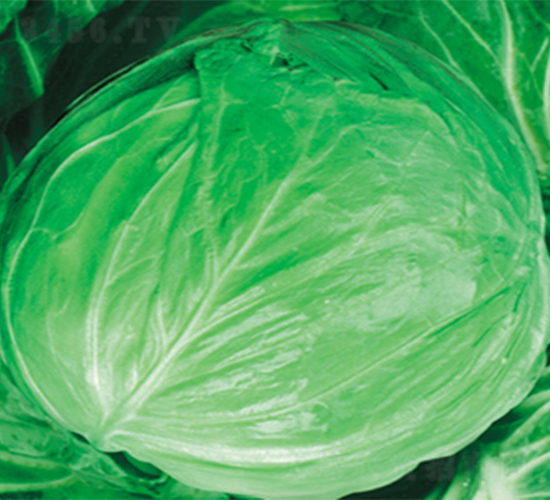 ����-���{(l��n)�N��-���߷N��