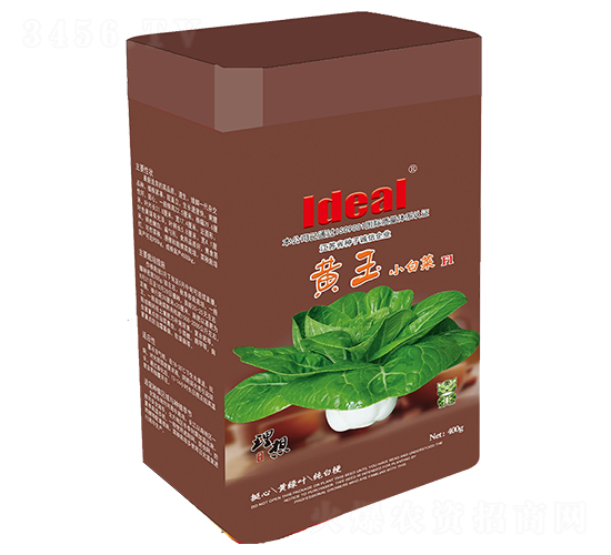 �S��С�ײ�-С�ײ˷N��-�����r�I(y��)