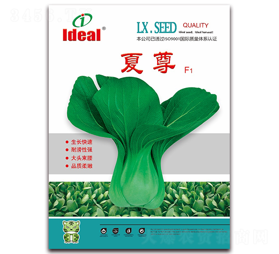 ����-�๣�˷N��-�����r�I(y��)