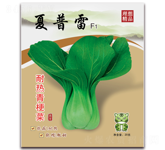 夏普雷（耐熱青梗菜）-青梗菜種子-理想農(nóng)業(yè)