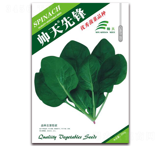 帥天先鋒-菠菜種子-帥天