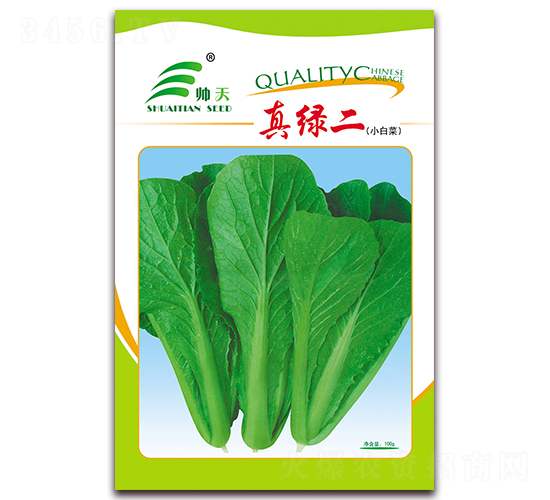真綠二-白菜種子-帥天