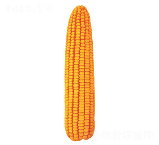 �F��15̖(h��o)-���׷N��-�F�зN�I(y��)