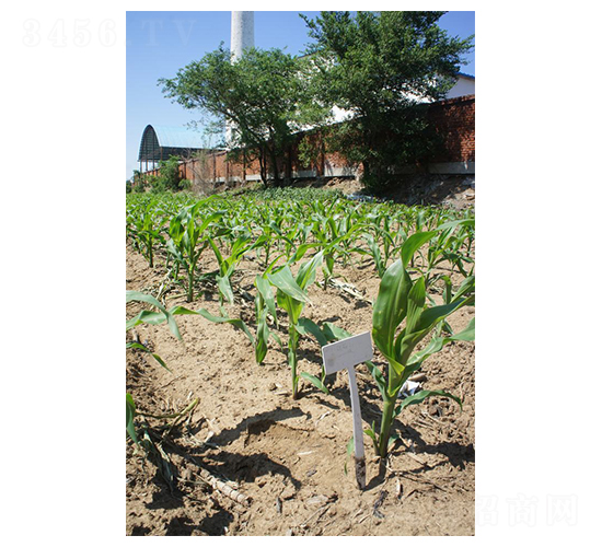 �F��L1-���׷N��-�F�зN�I(y��)