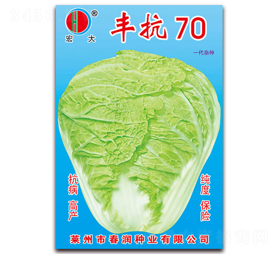 豐抗70-白菜種子-春潤種業(yè)