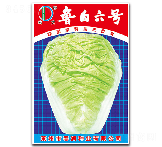 ����6̖(h��o)-�ײ˷N��-����(r��n)�N�I(y��)