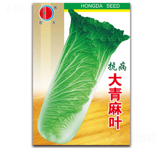 �������~-�ײ˷N��-����(r��n)�N�I(y��)