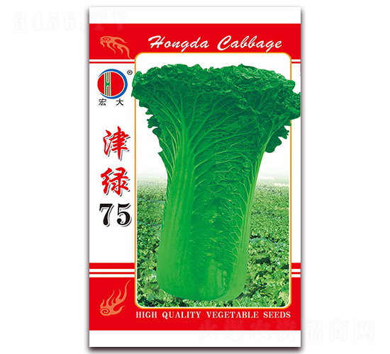 ��G75-ֱͲ�ײ˷N��-�����N�I(y��)