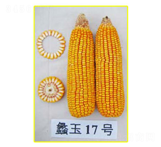 ���17̖-���׷N��-���