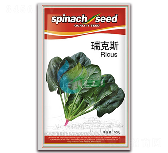 瑞克斯-菠菜種子-慕蘭多