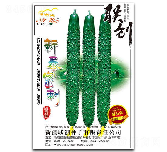 新泰密刺-黃瓜種子-聯(lián)創(chuàng)