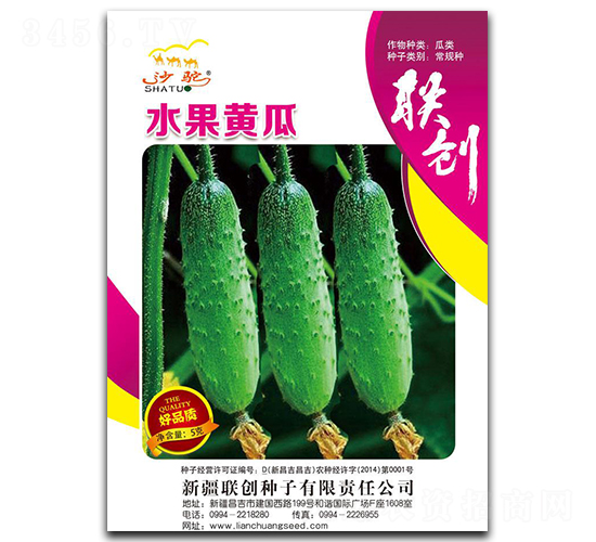 水果黃瓜-水果黃瓜種子-聯(lián)創(chuàng)