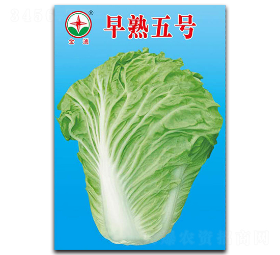 ������̖����ͨ��-�ײ˷N��-����