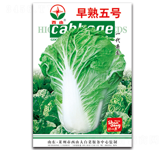 ����5̖(h��o)-�ײ˷N��-����