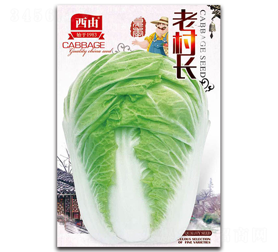 �ϴ��L(zh��ng)-�ײ˷N��-����