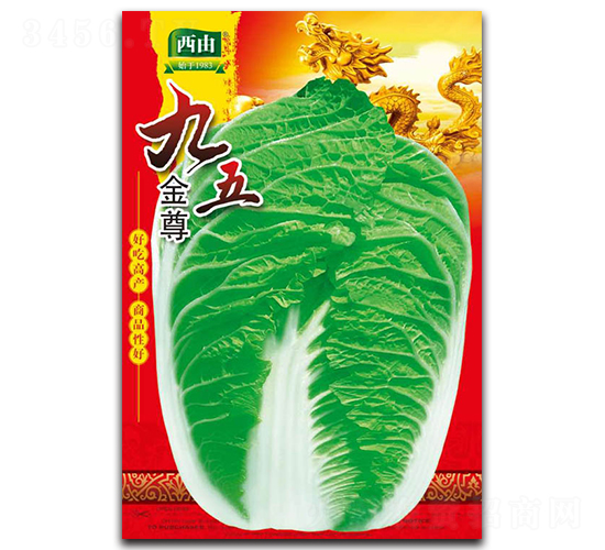 �������-�ײ˷N��-����