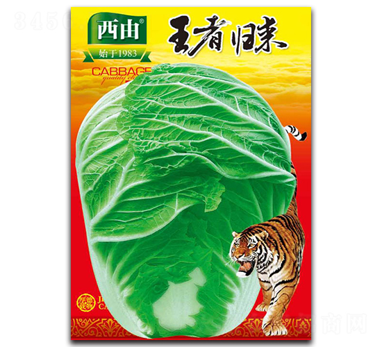 ���ߚw��-�ײ˷N��-����