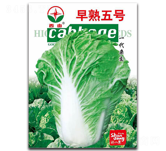 ������̖(h��o)-�ײ˷N��-����