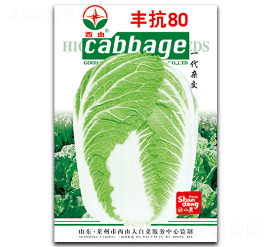 �S��80-�ײ˷N��-����