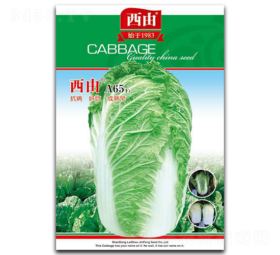 ����A65-�ײ˷N��-����