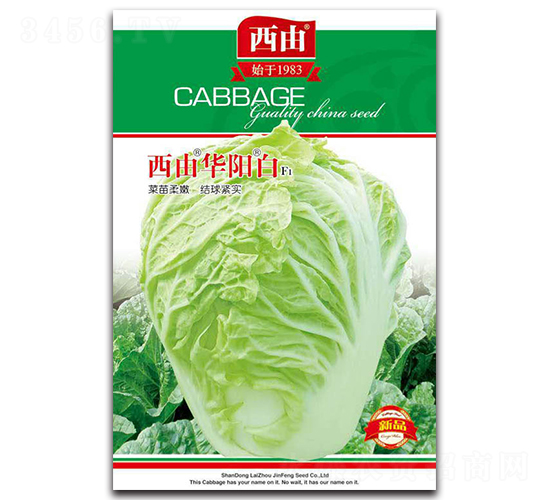 �����Aꖰ�-�ײ˷N��-����