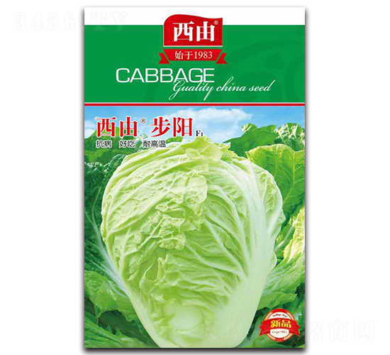 西由步陽-白菜種子-西由