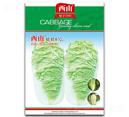 西由娃娃6號(hào)-白菜種子-西由