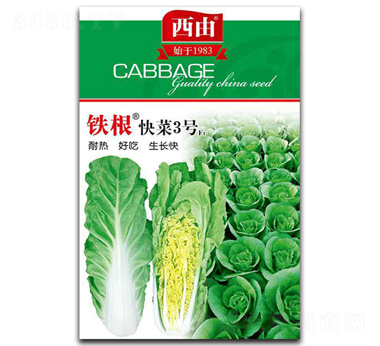 鐵根快菜3號(hào)-白菜種子-西由