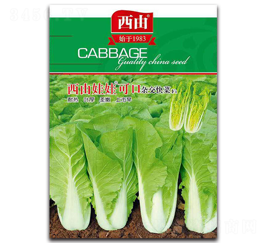 �������޿ɿ�-�ײ˷N��-����