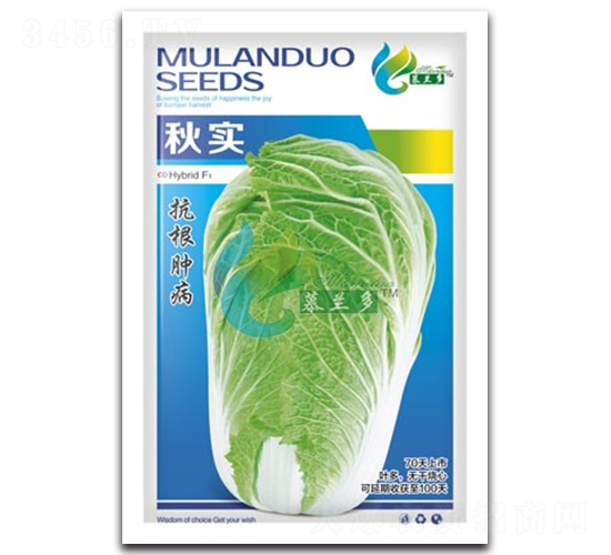 �(sh��)-�ײ˷N��-Ľ�m��