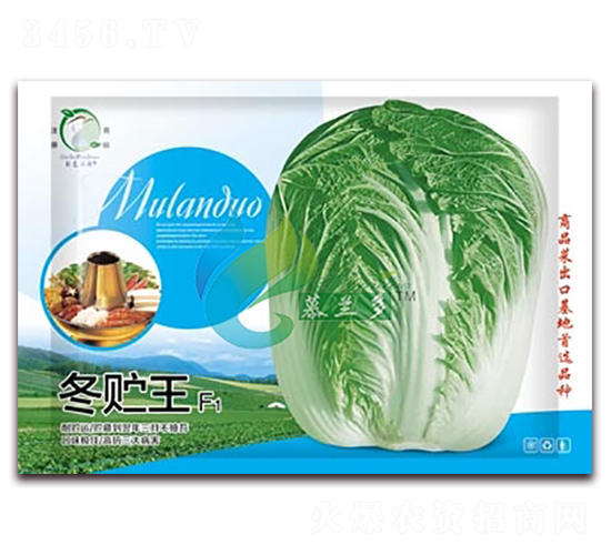 ���A��-�ײ˷N��-Ľ�m��