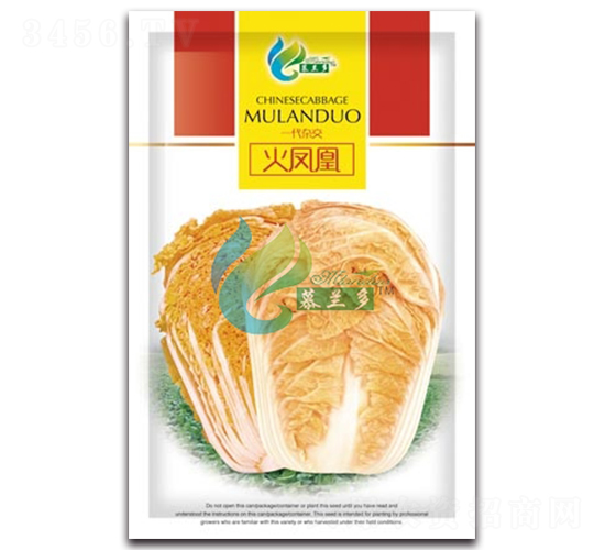 ���P��-�ײ˷N��-Ľ�m��