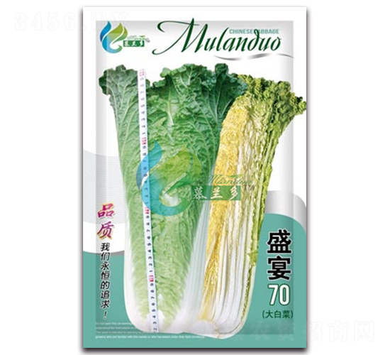 ʢ��70-�ײ˷N��-Ľ�m��