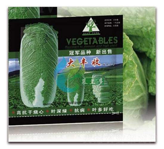 ���S��-�ײ˷N��-Ľ�m��