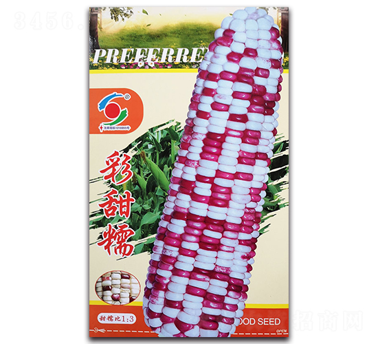 ��{����Ŵ-Ŵ���׷N��-�����o(j��)