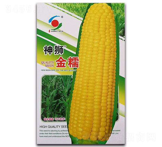 神獅金糯-糯玉米種子-新世紀(jì)